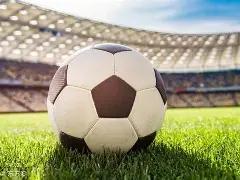 范戴克解析,替补心绪,萨拉赫替补,尊龙凯时,尊龙凯时官网,尊龙凯时首页,尊龙凯时人生就是博