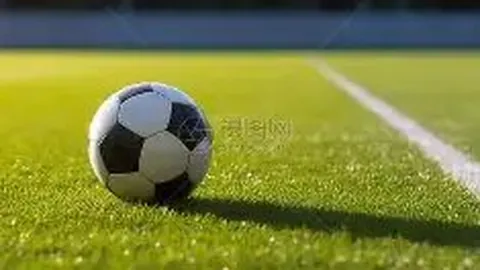 揭秘：图赫尔或将为凯恩轮休，维尔贝克蓄势待发，挑战锋线主力位置！