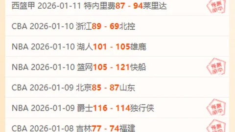 图赫尔强调球队建设追求适配而非极致力量；福登与贝林默契搭档无疑问