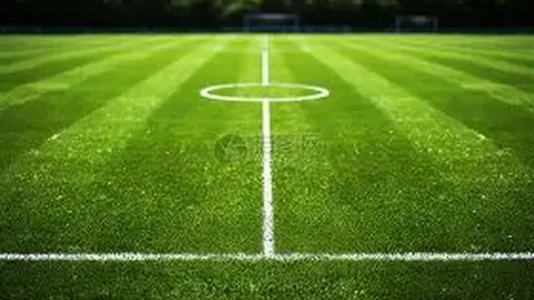 大乐透期号专家推荐：质合分析前区十码延续主场全胜
